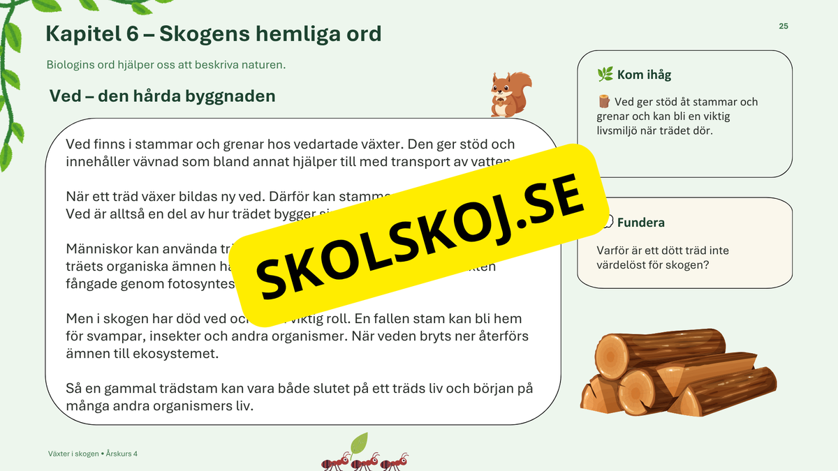 Växter i skogen - NO - Årskurs 4 - 6