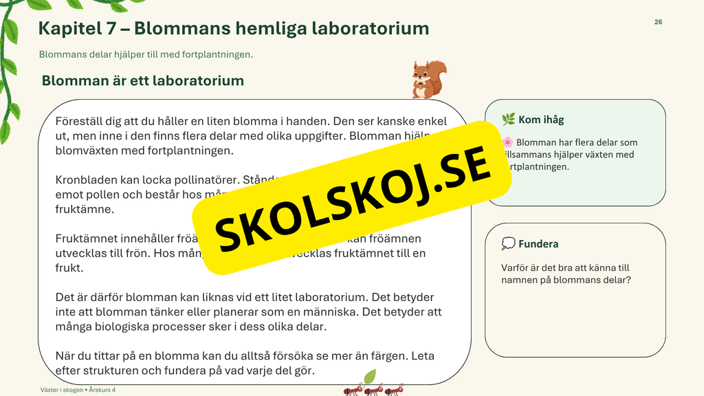 Växter i skogen - NO - Årskurs 4 - 6
