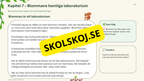 Växter i skogen - NO - Årskurs 4 - 6