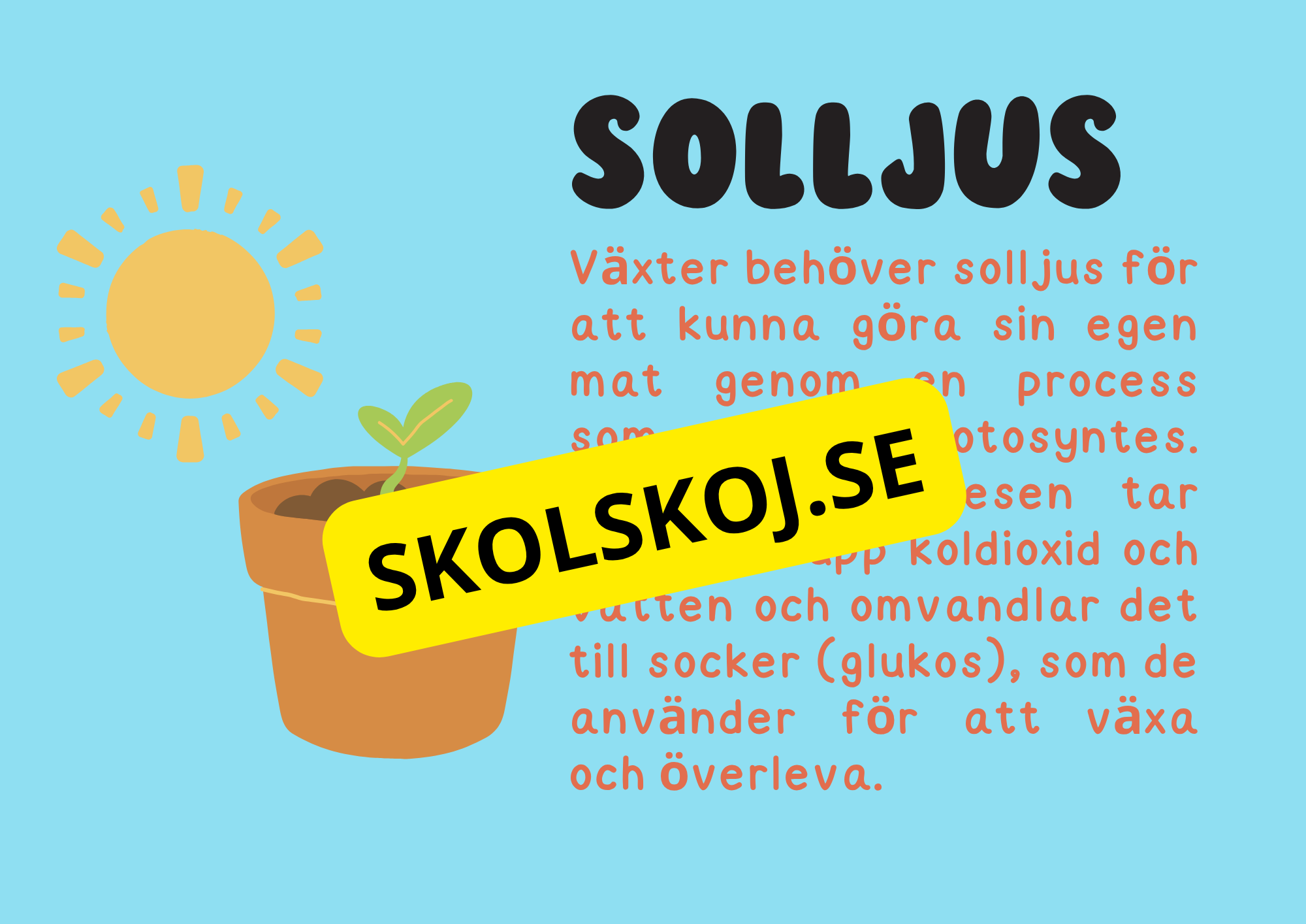Växternas liv - Häfte - Årskurs 3 - 6