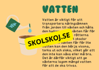 Växternas liv - Häfte - Årskurs 3 - 6