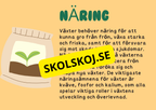 Växternas liv - Häfte - Årskurs 3 - 6