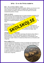 Vikingatiden