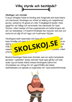 Vikingatiden livet, gudarna och städerna - Läsförståelse