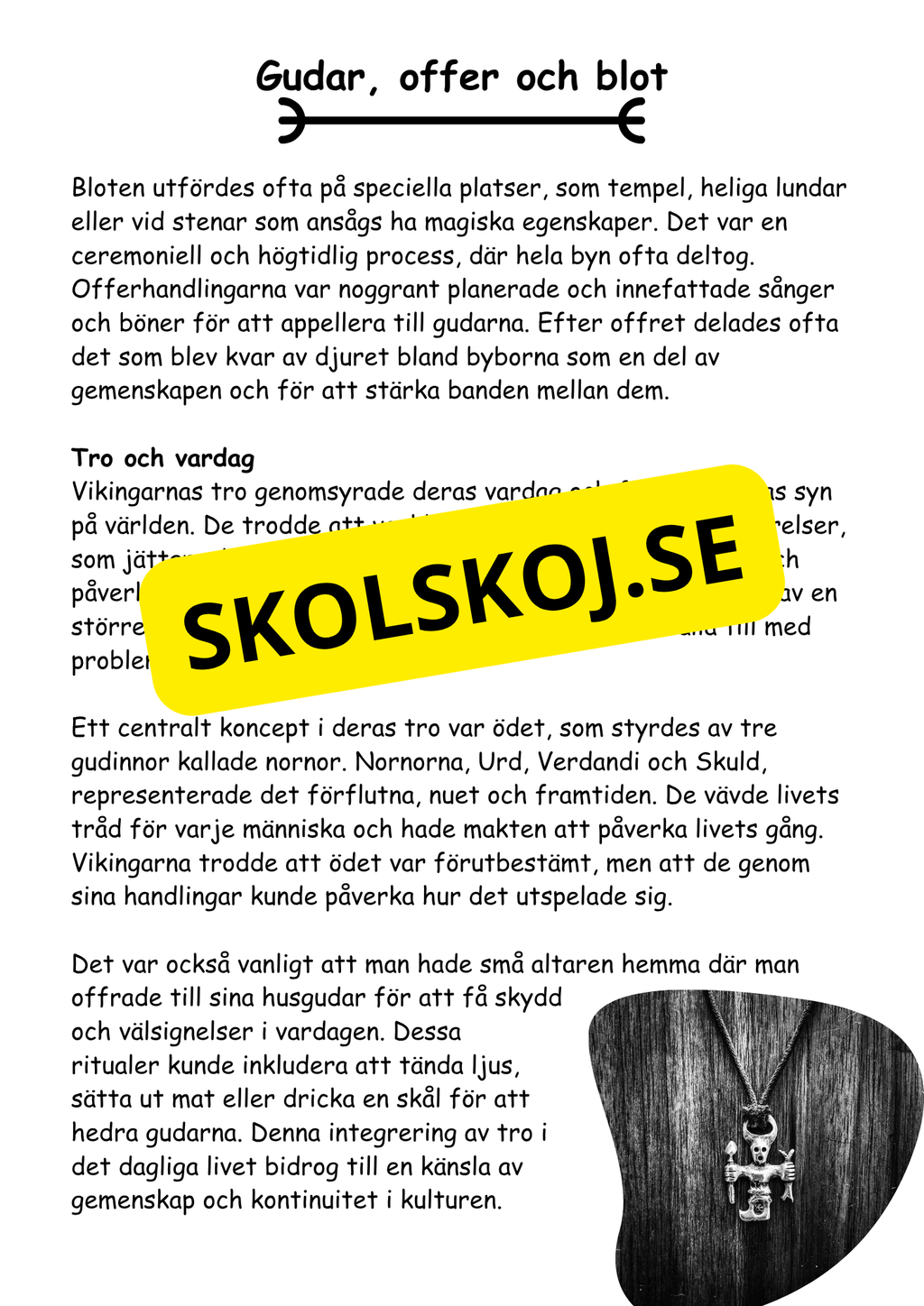Vikingatiden livet, gudarna och städerna - Läsförståelse