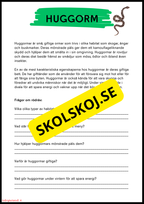 Vilda djur i Sverige – Läsförståelse med två nivåer för lågstadiet