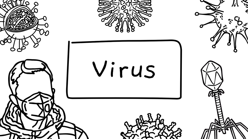 Virus - Biologi - Presentation + frågor - Åk 6 - 9