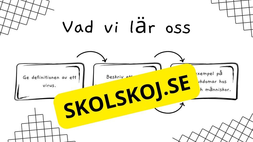 Virus - Biologi - Presentation + frågor - Åk 6 - 9
