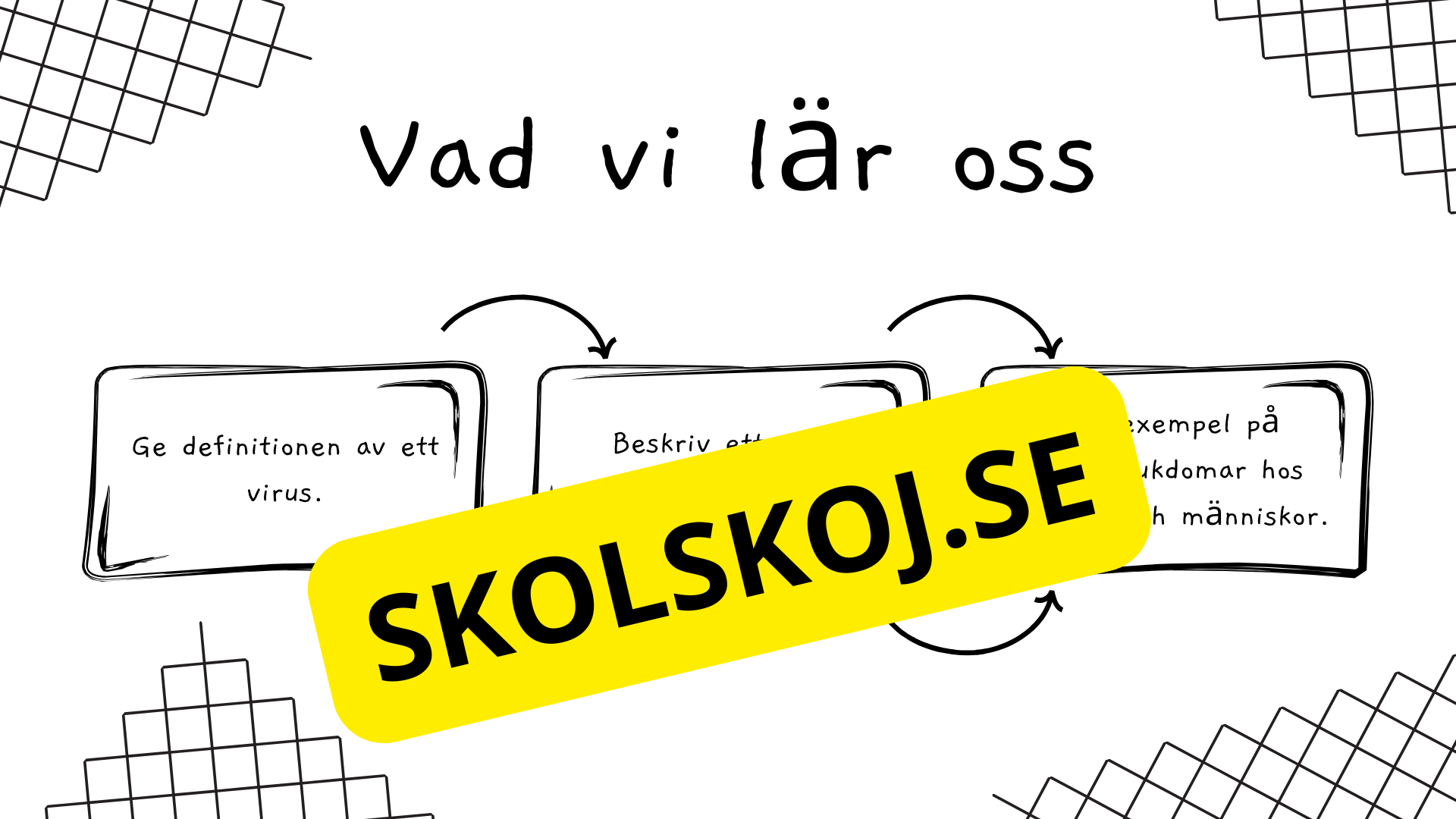 Virus - Biologi - Presentation + frågor - Åk 6 - 9