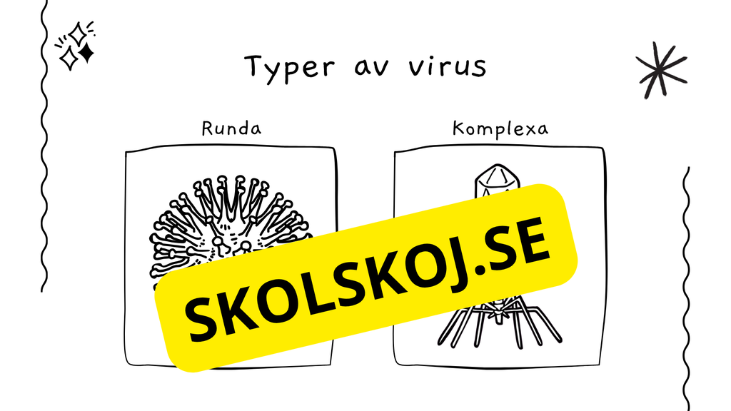 Virus - Biologi - Presentation + frågor - Åk 6 - 9