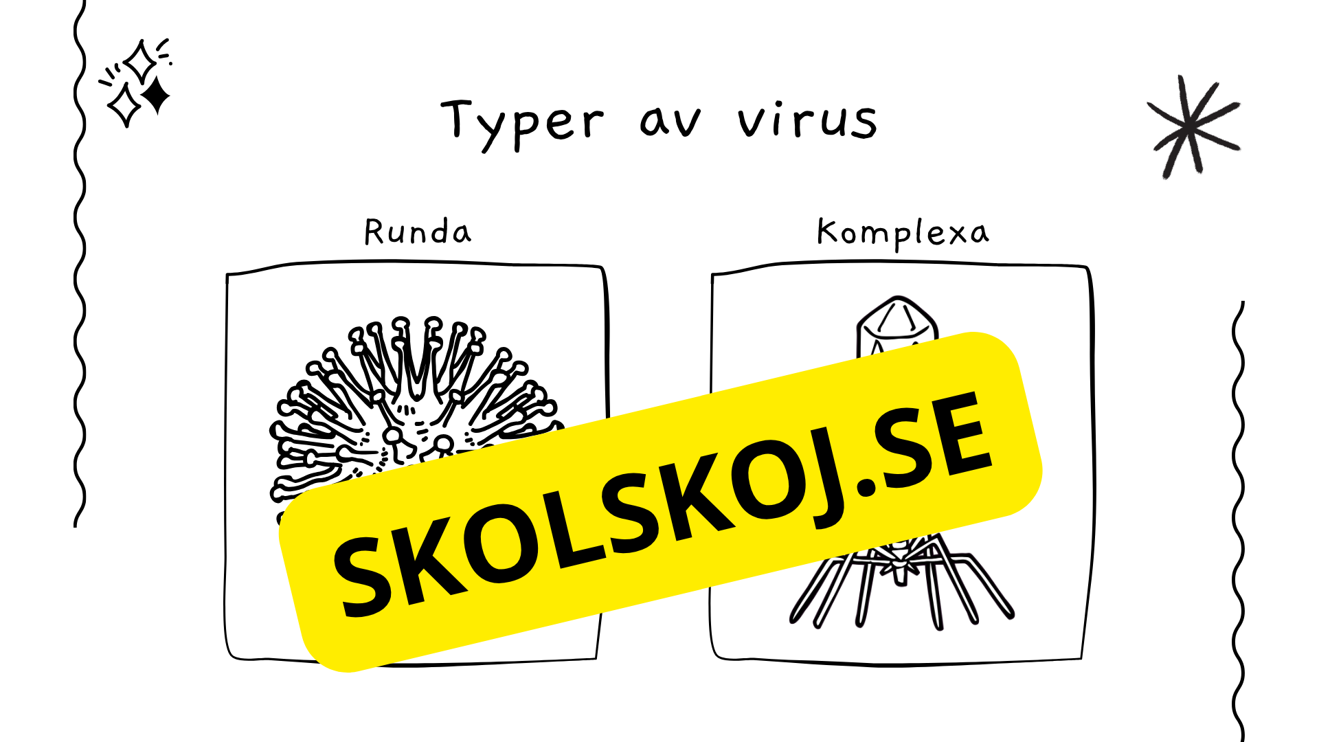 Virus - Biologi - Presentation + frågor - Åk 6 - 9