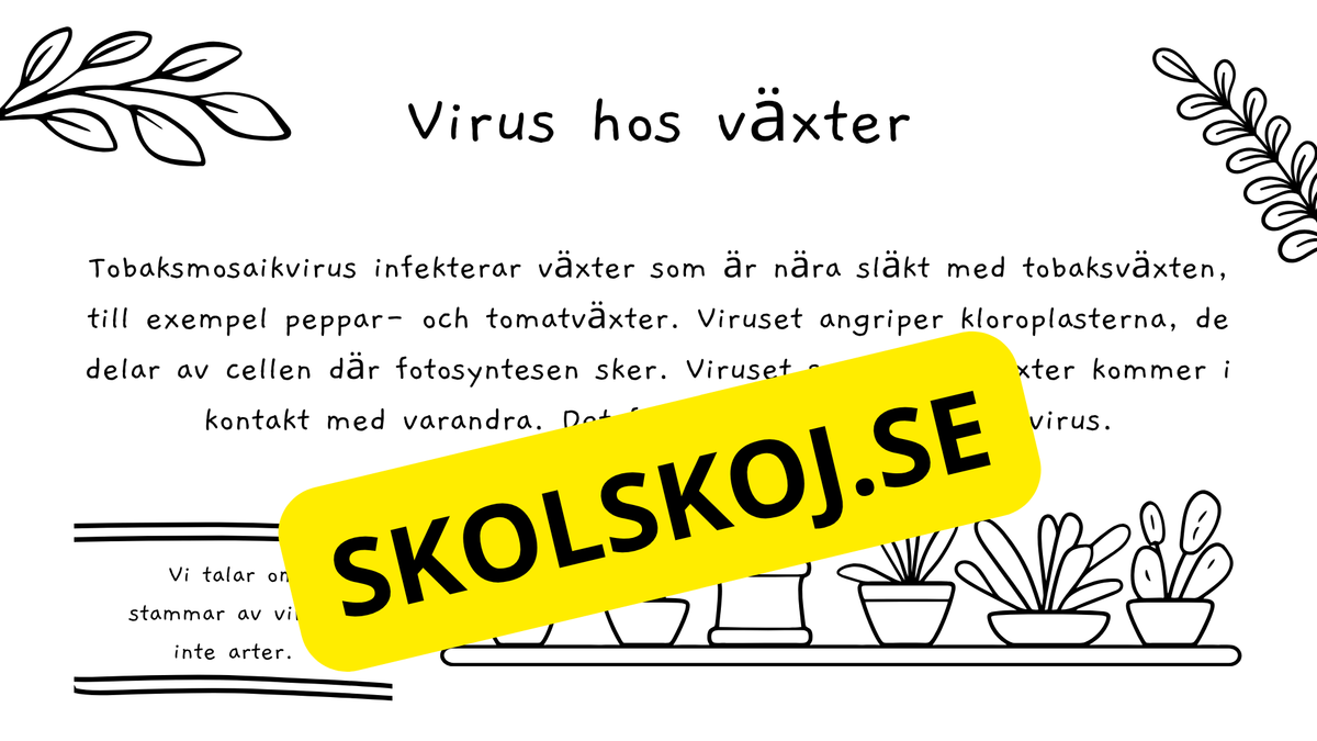 Virus - Biologi - Presentation + frågor - Åk 6 - 9