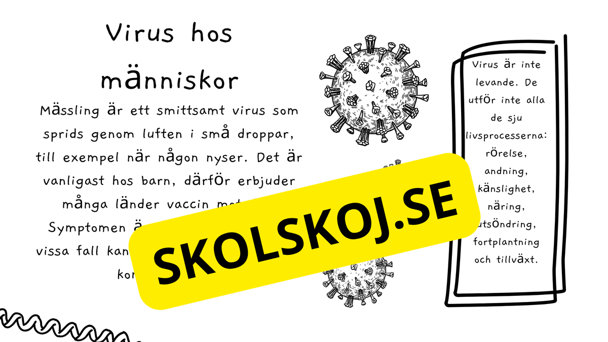 Virus - Biologi - Presentation + frågor - Åk 6 - 9