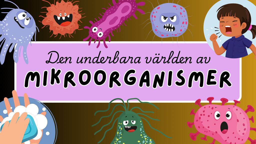 Mikroorganismer - Fakta + frågor - Årskurs 4 - 6