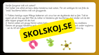 Mikroorganismer - Fakta + frågor - Årskurs 4 - 6