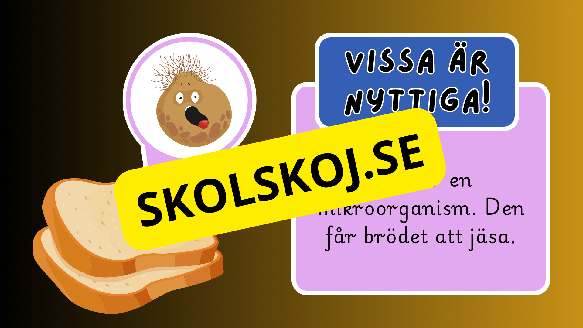 Mikroorganismer - Fakta + frågor - Årskurs 4 - 6