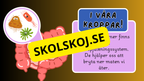 Mikroorganismer - Fakta + frågor - Årskurs 4 - 6