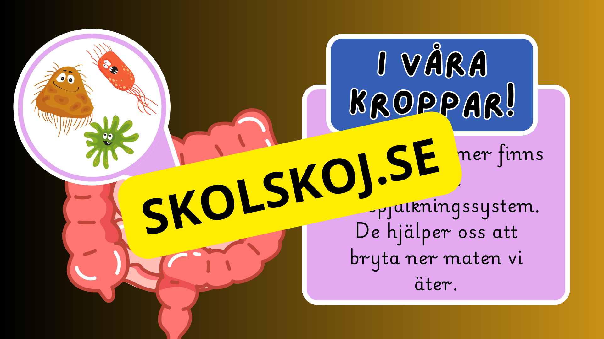 Mikroorganismer - Fakta + frågor - Årskurs 4 - 6