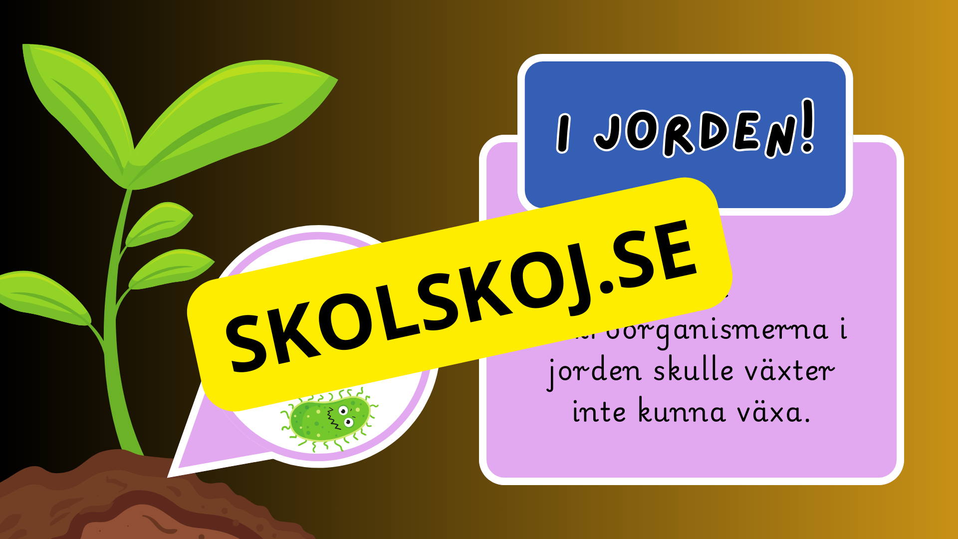 Mikroorganismer - Fakta + frågor - Årskurs 4 - 6