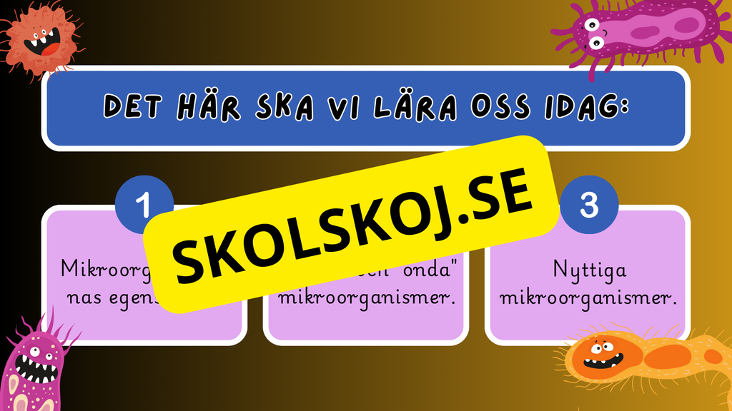 Mikroorganismer - Fakta + frågor - Årskurs 4 - 6
