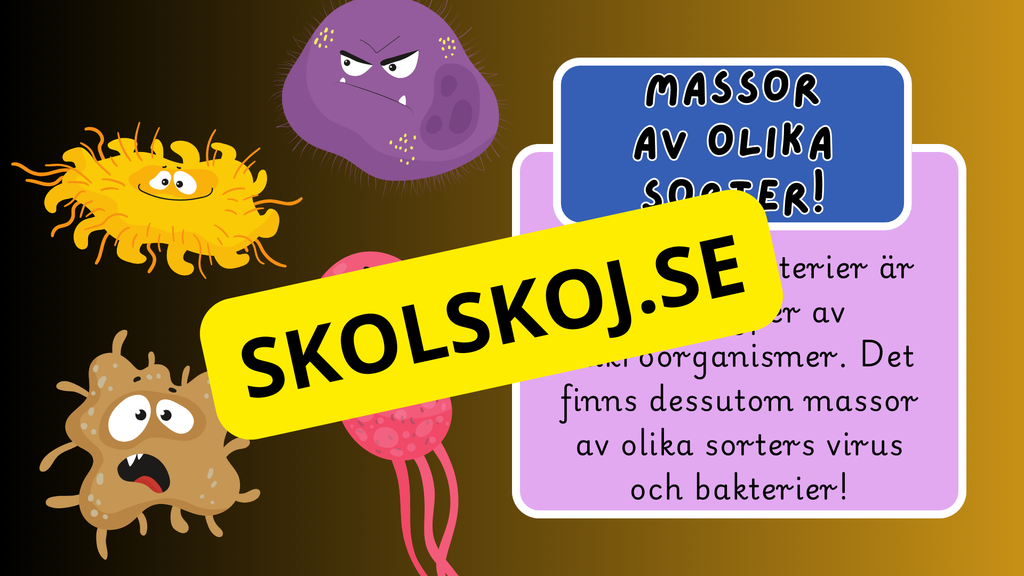 Mikroorganismer - Fakta + frågor - Årskurs 4 - 6