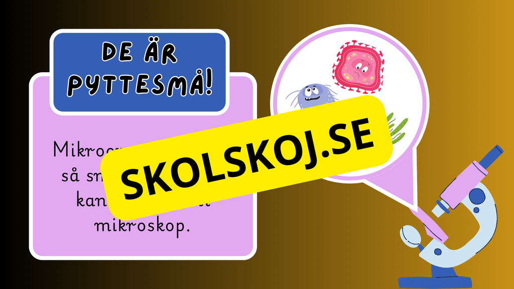 Mikroorganismer - Fakta + frågor - Årskurs 4 - 6