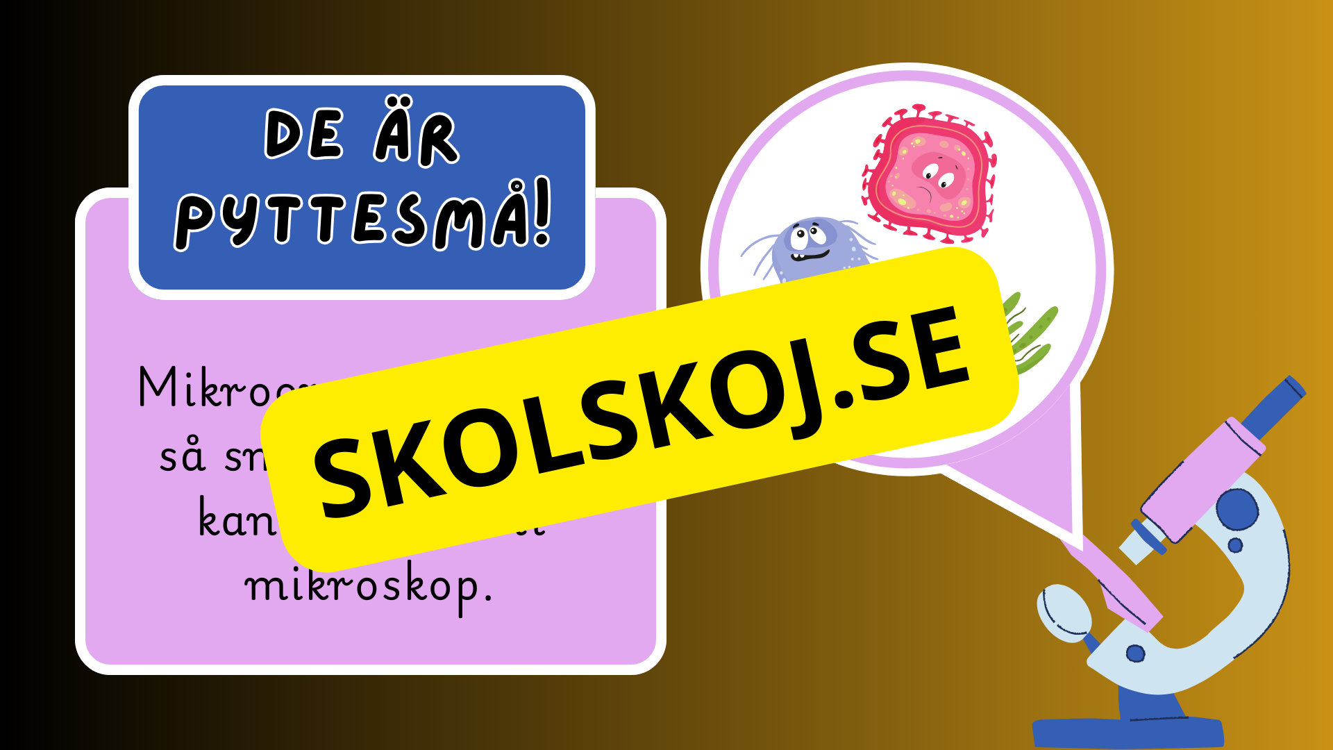 Mikroorganismer - Fakta + frågor - Årskurs 4 - 6
