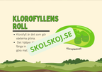 Fotosyntes - Häfte - Årskurs 4 - 5