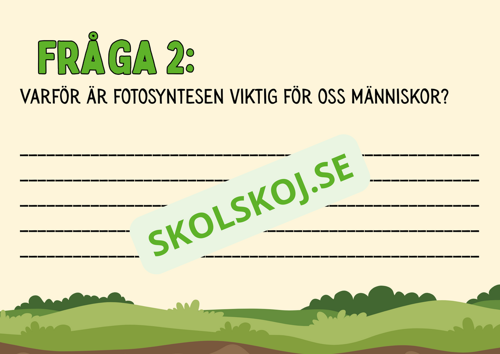 Fotosyntes - Häfte - Årskurs 4 - 5