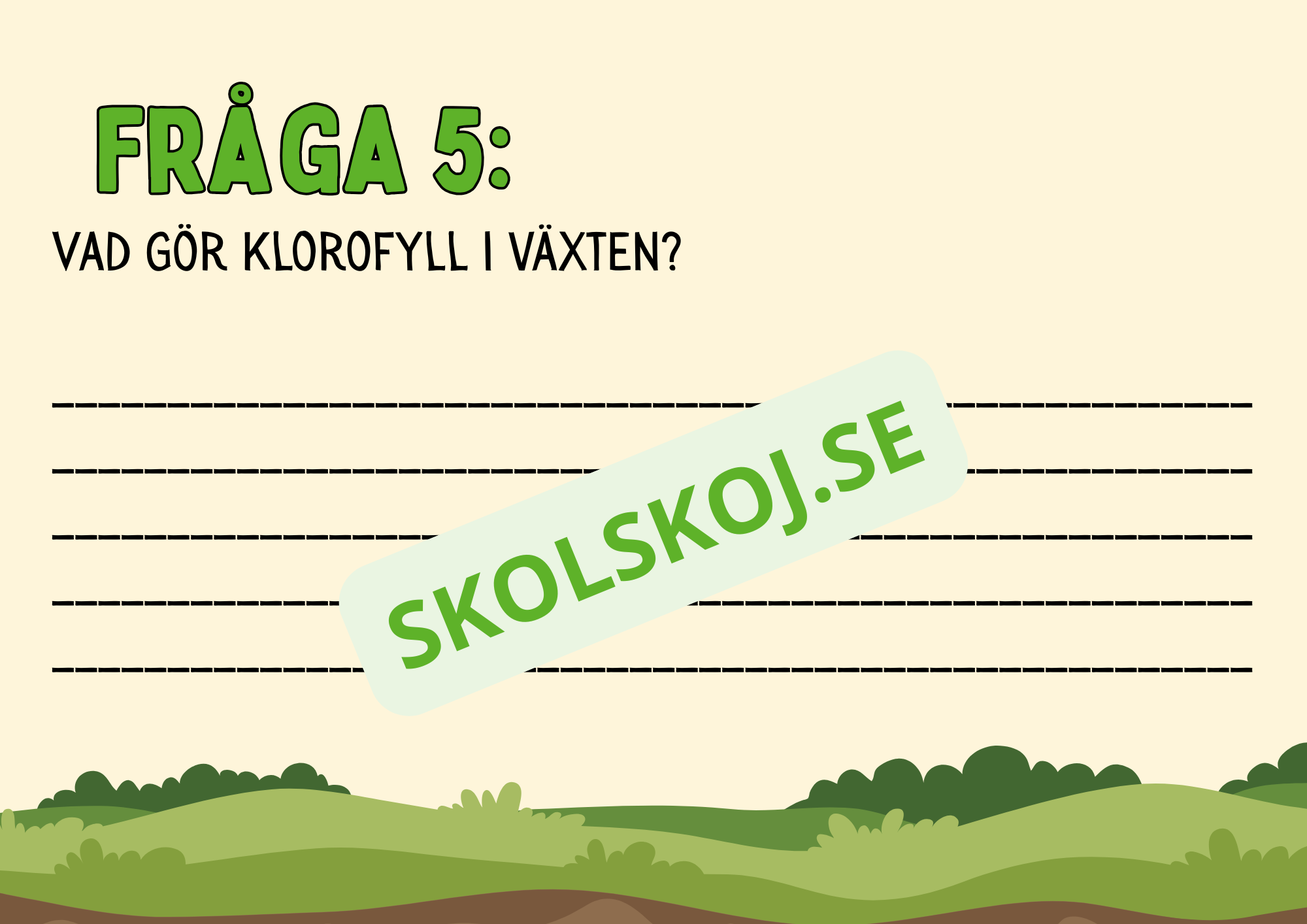 Fotosyntes - Häfte - Årskurs 4 - 5