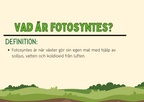 Fotosyntes - Häfte - Årskurs 4 - 5