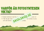 Fotosyntes - Häfte - Årskurs 4 - 5