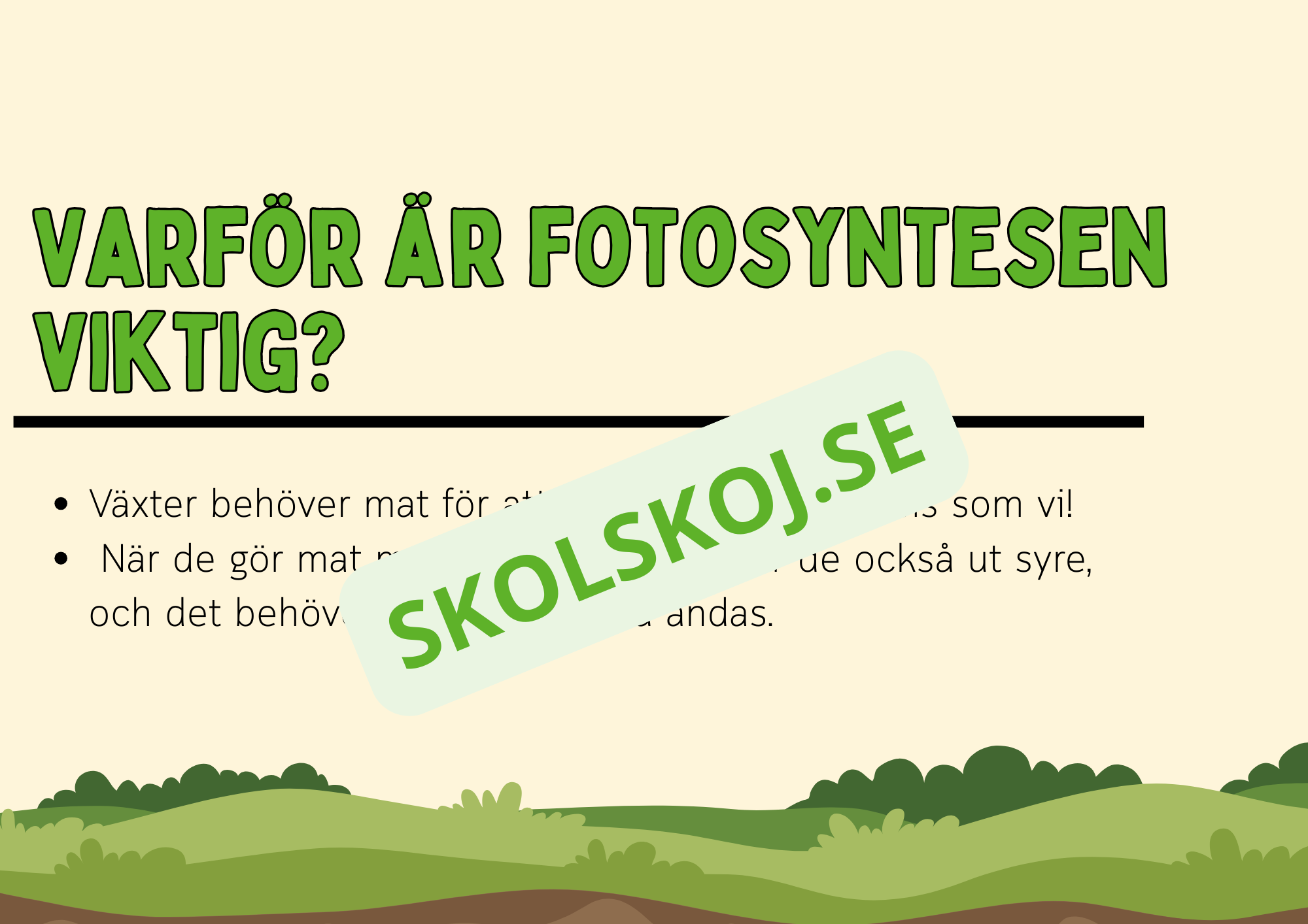 Fotosyntes - Häfte - Årskurs 4 - 5