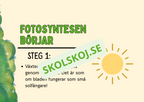 Fotosyntes - Häfte - Årskurs 4 - 5