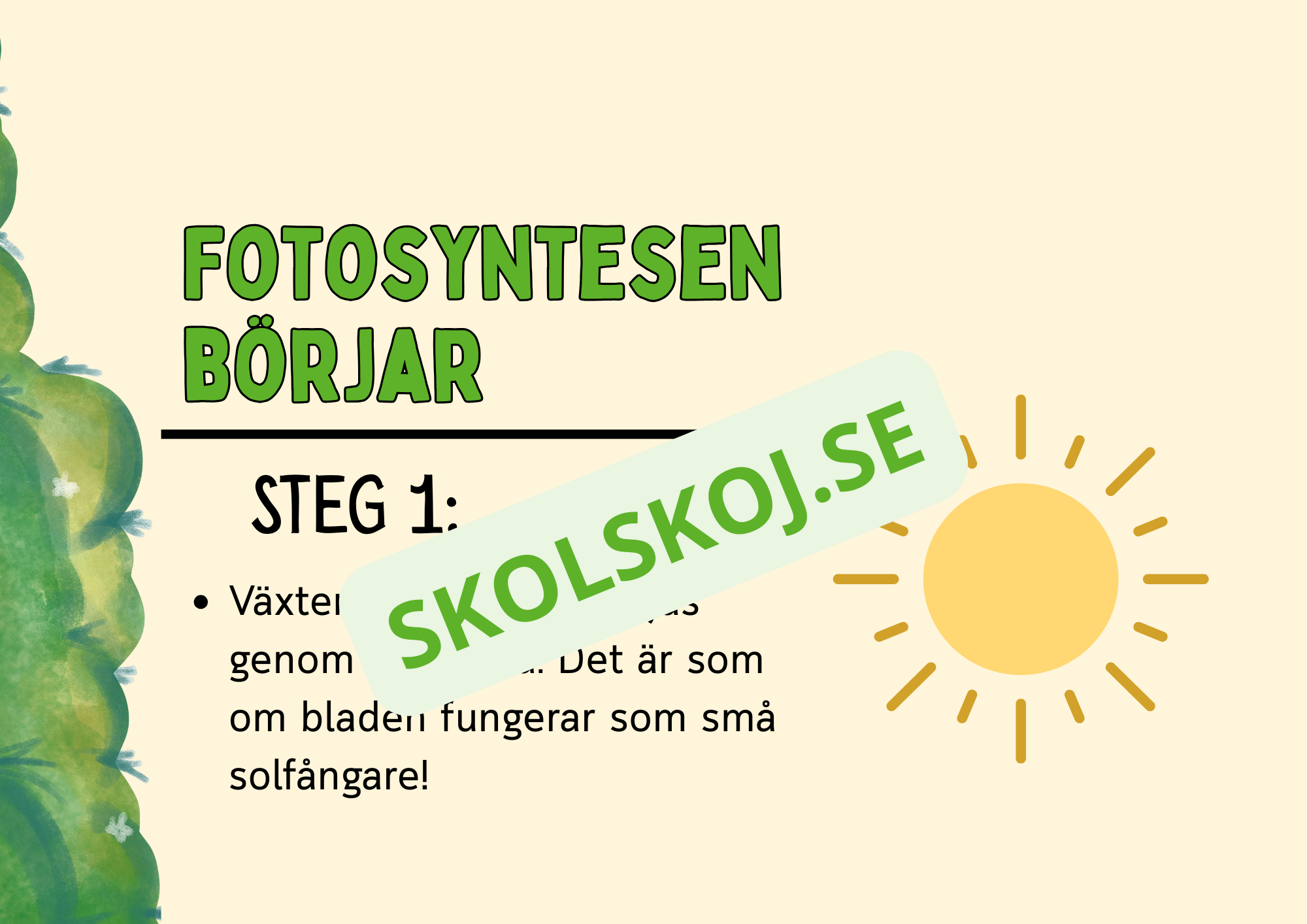Fotosyntes - Häfte - Årskurs 4 - 5