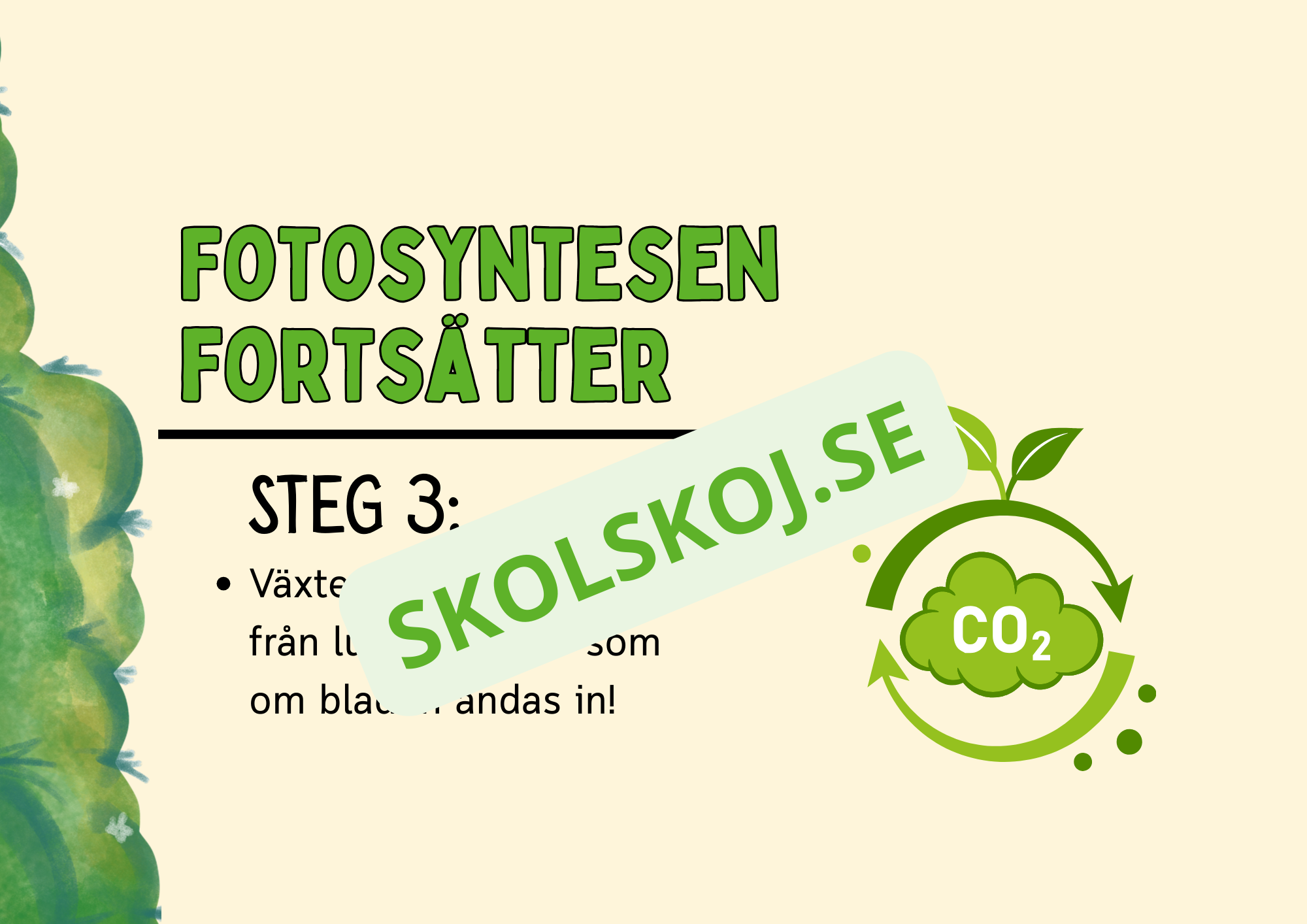 Fotosyntes - Häfte - Årskurs 4 - 5
