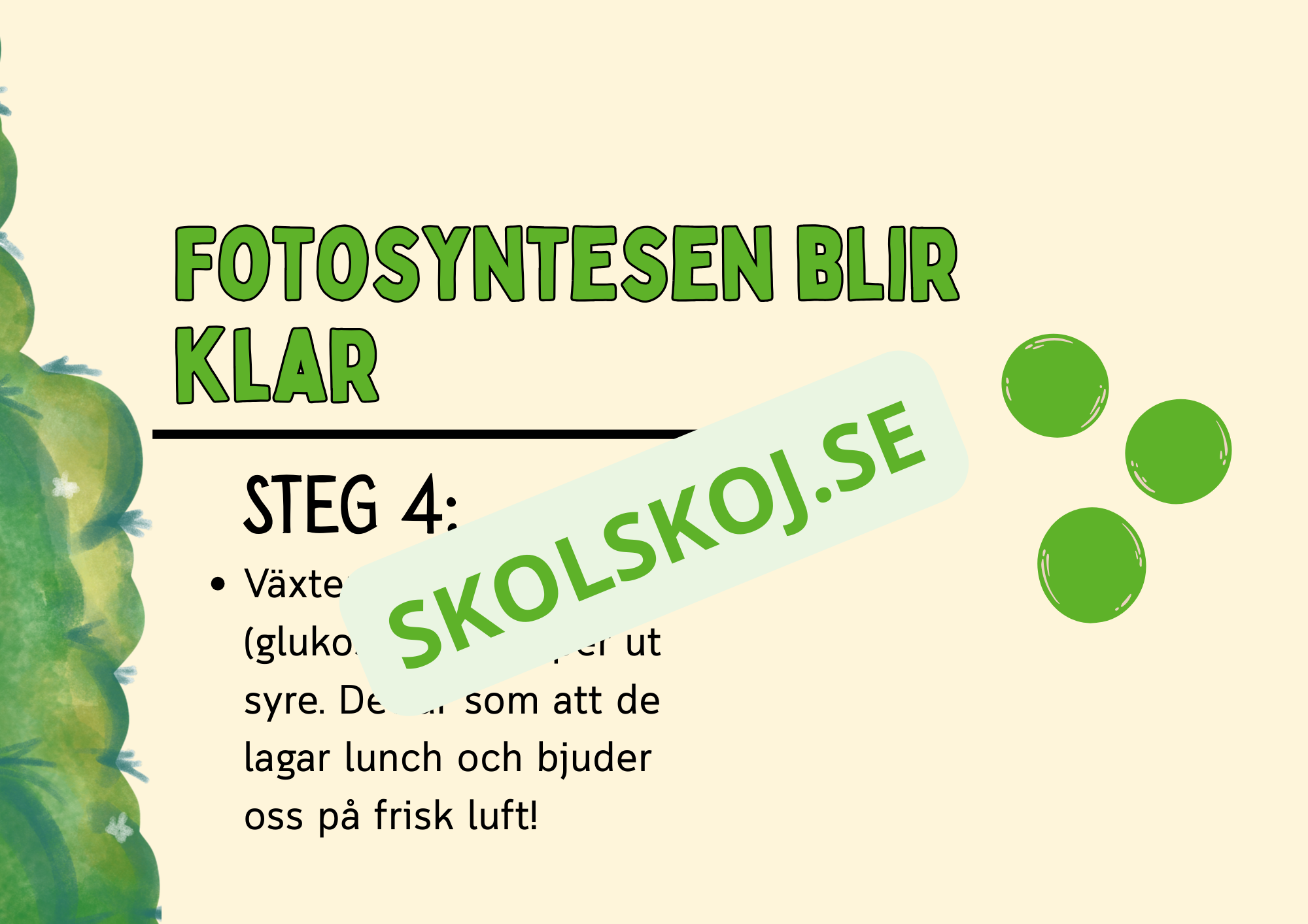 Fotosyntes - Häfte - Årskurs 4 - 5