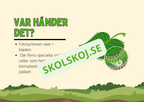 Fotosyntes - Häfte - Årskurs 4 - 5