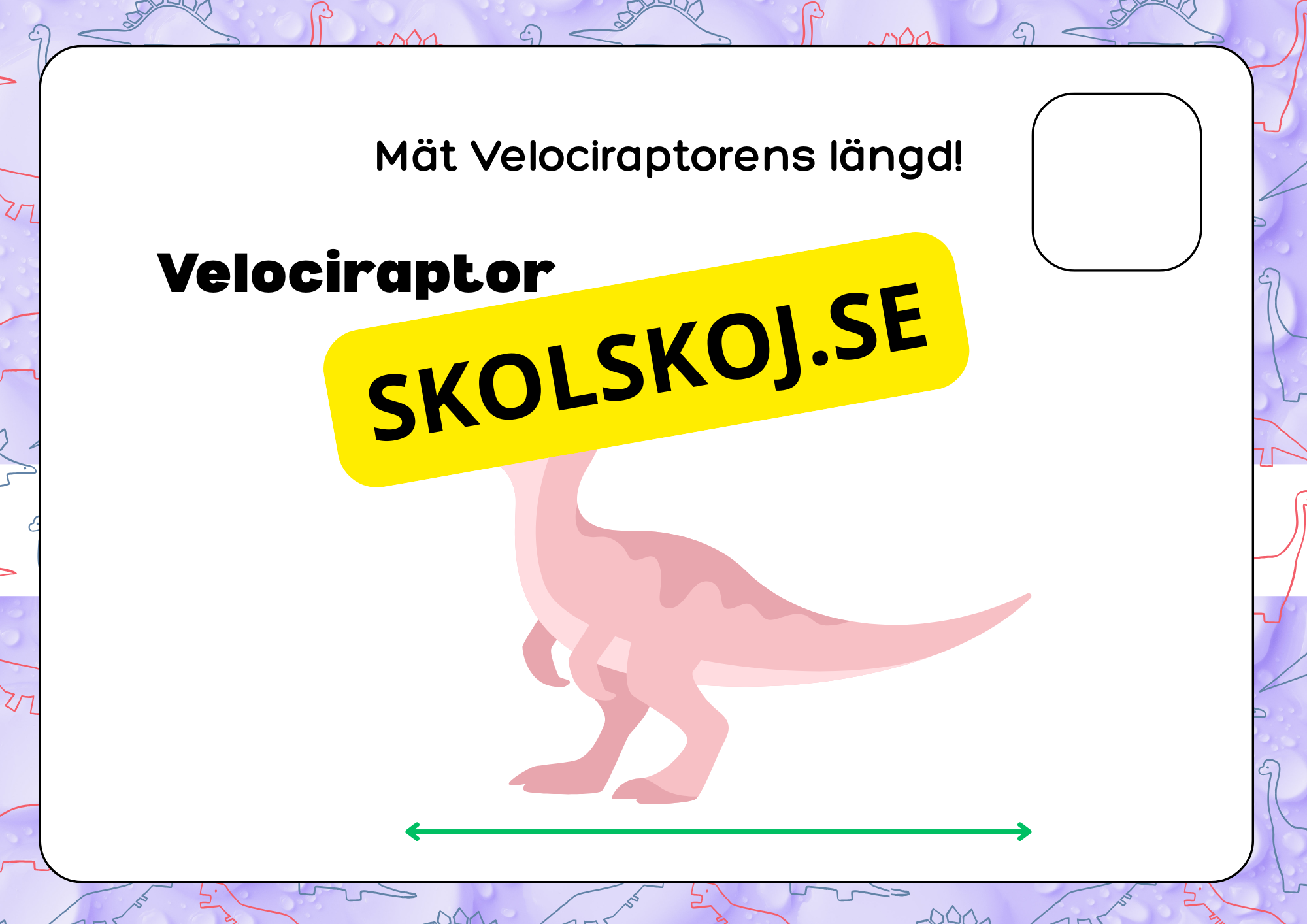 Mät dinosauriernas längd