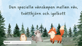 Den speciella vänskapen mellan räv, tvättbjörn och igelkott
