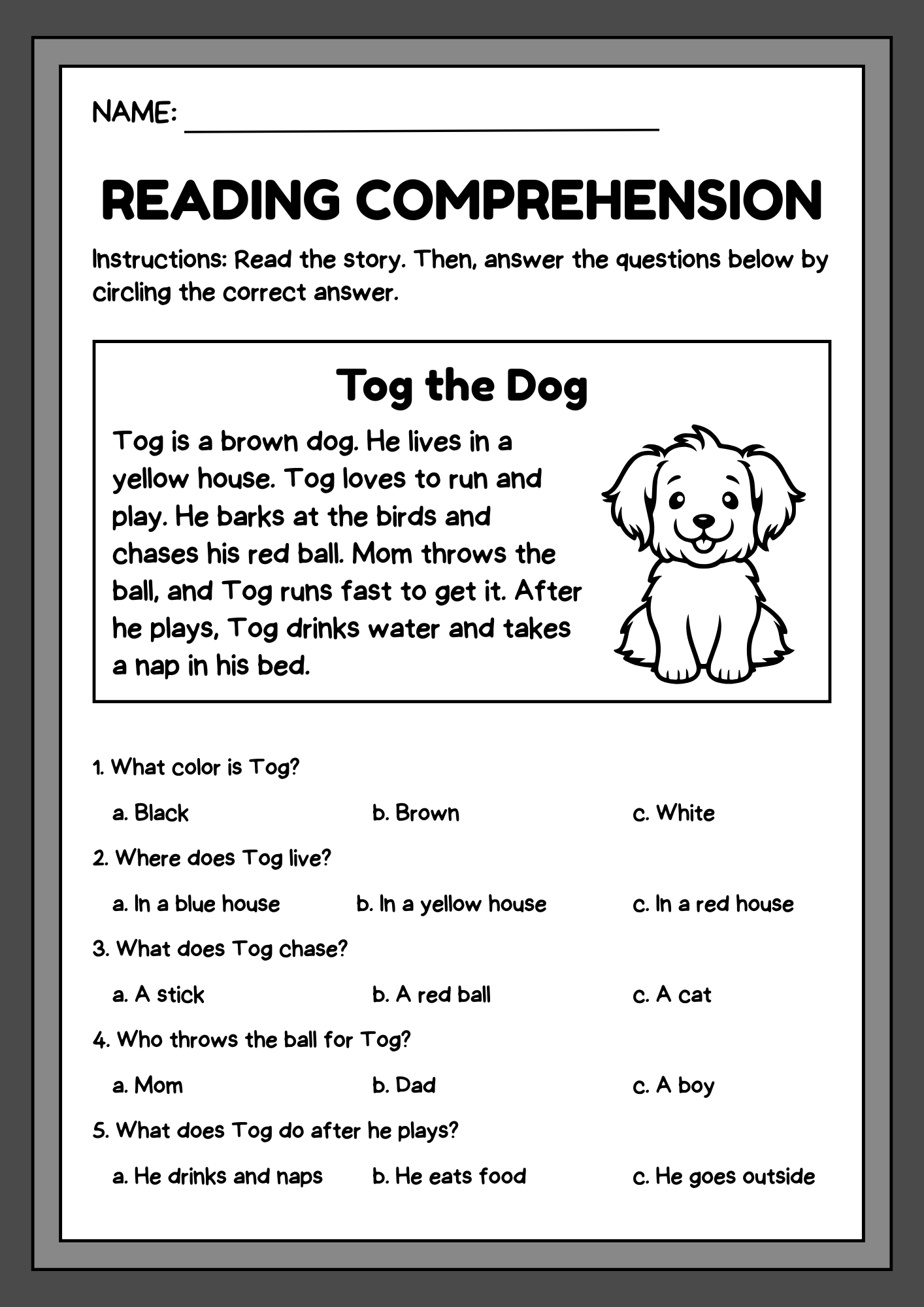 Reading comprehension - English