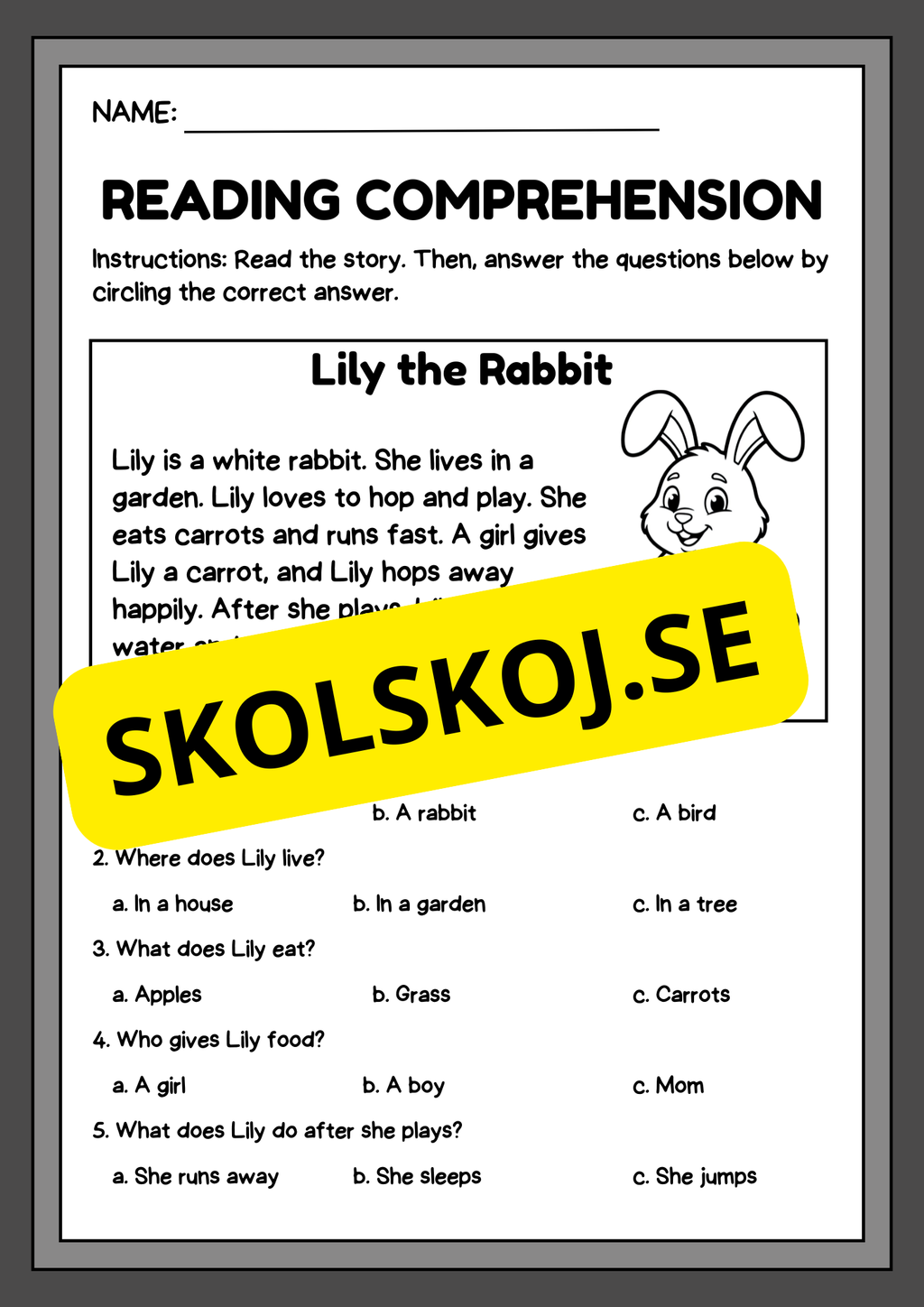 Reading comprehension - English