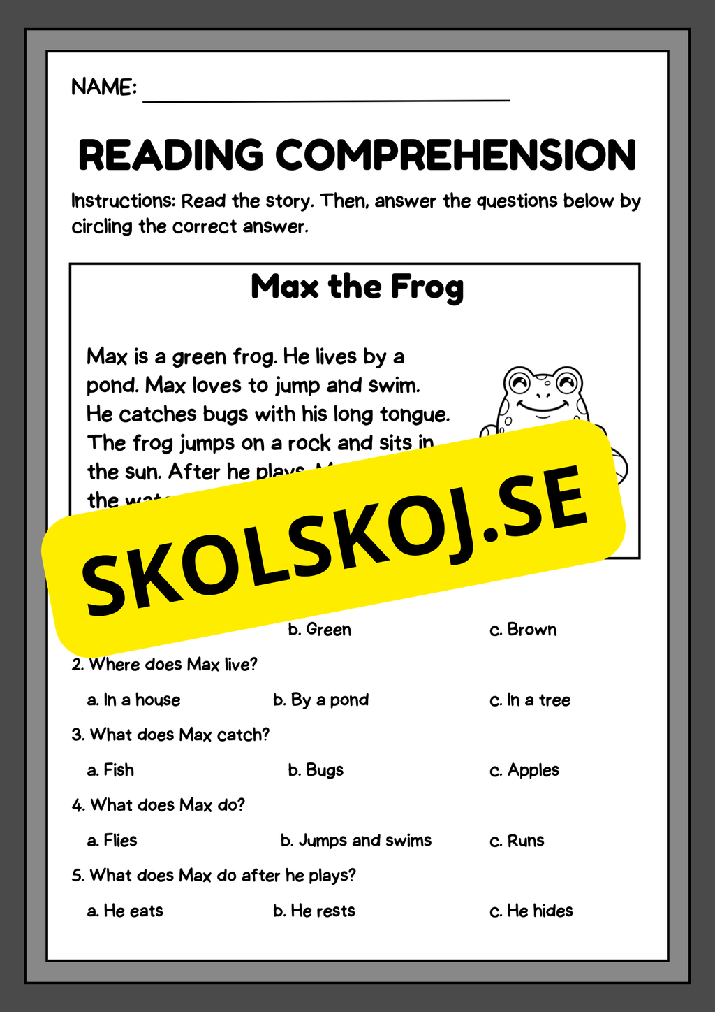 Reading comprehension - English