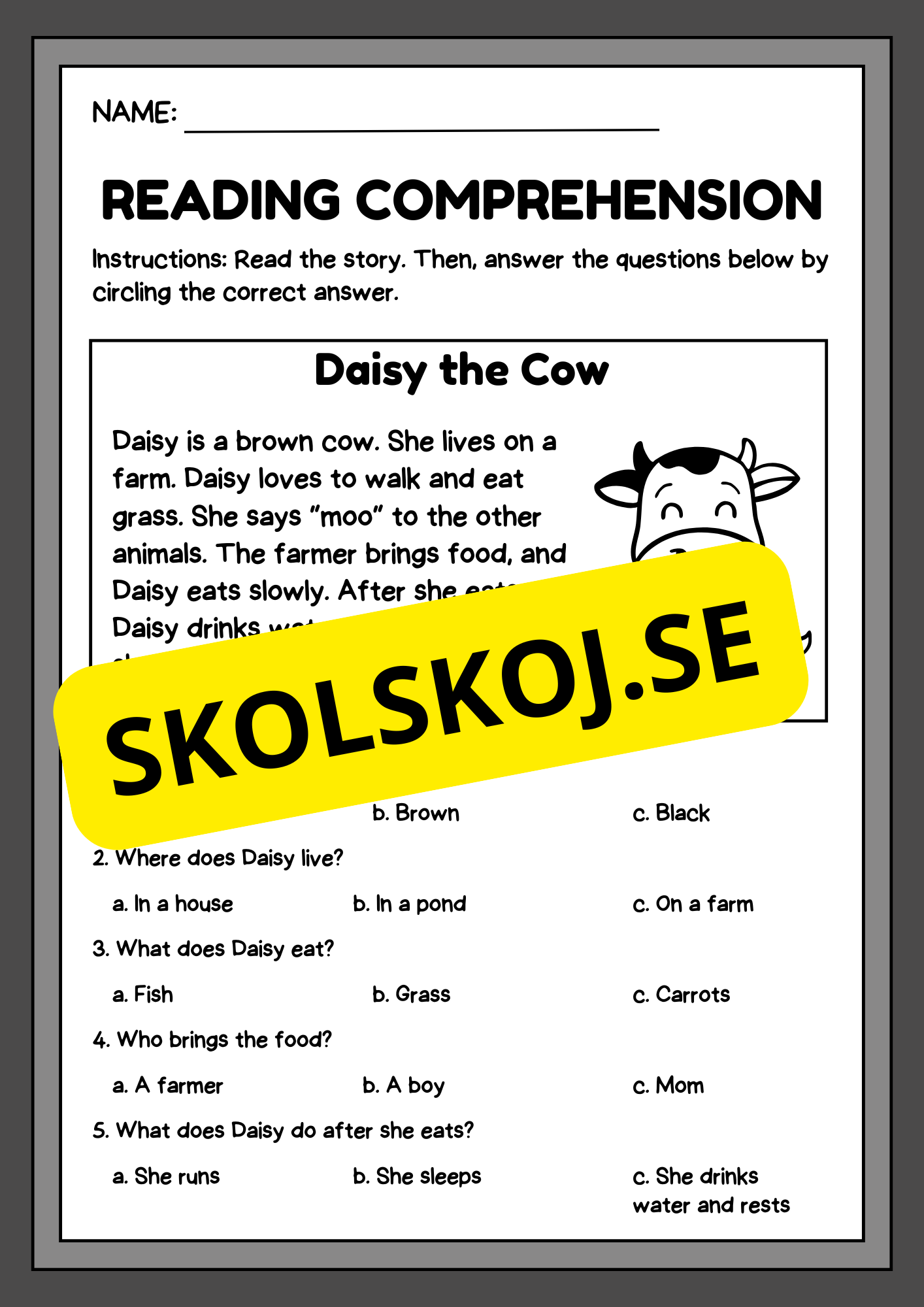 Reading comprehension - English