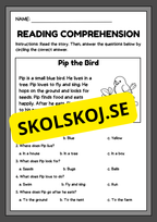 Reading comprehension - English