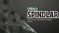 Allt om spindlar - Presentation + frågor