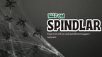 Allt om spindlar - Presentation + frågor