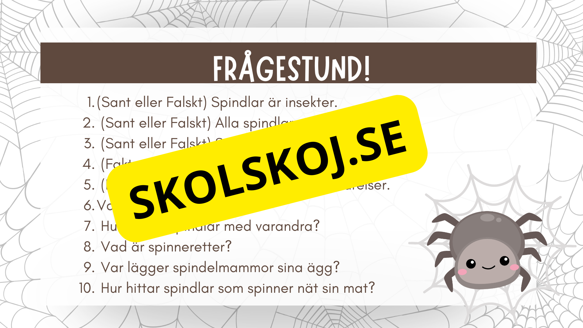 Allt om spindlar - Presentation + frågor