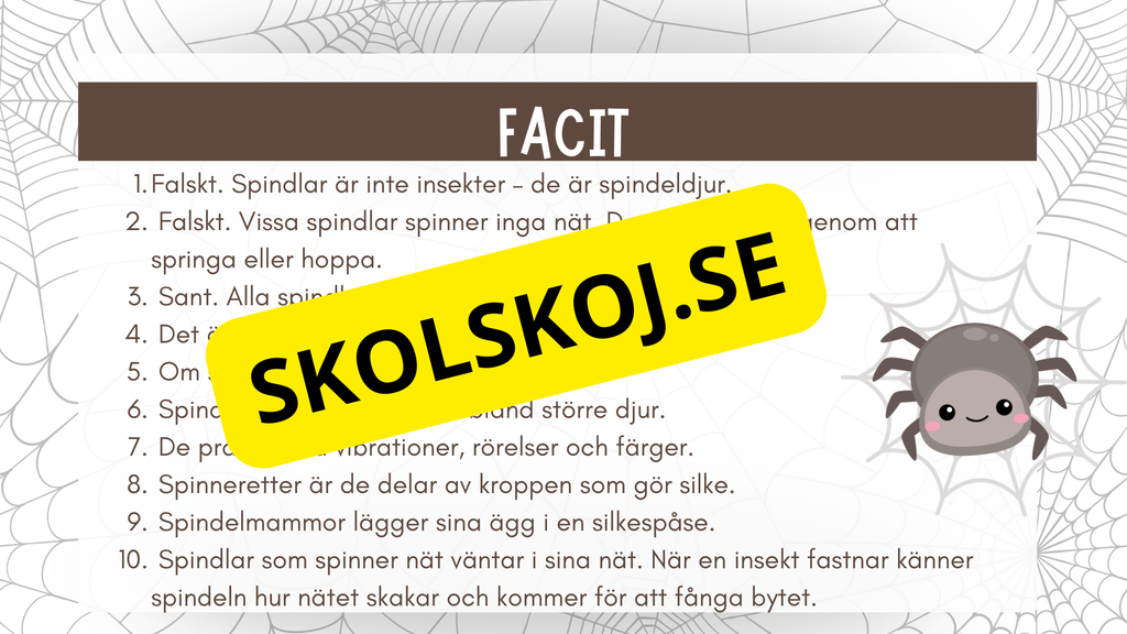 Allt om spindlar - Presentation + frågor