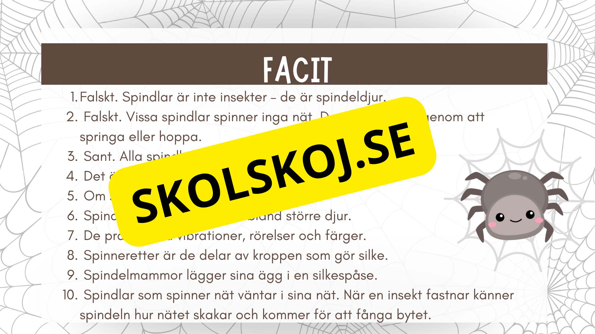 Allt om spindlar - Presentation + frågor